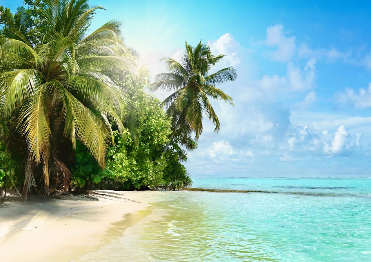 7 Deserted island books for an escape