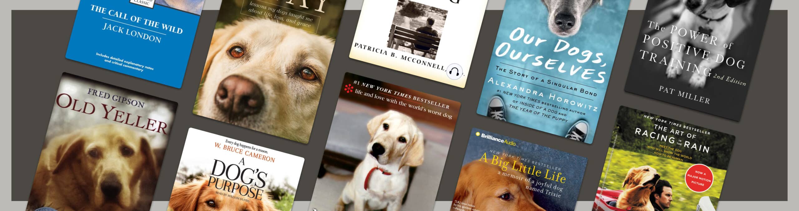 18 best books about dogs for canine lovers everywhere