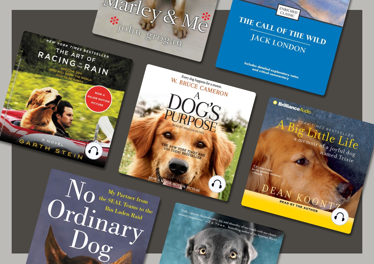 18 best books about dogs for canine lovers everywhere