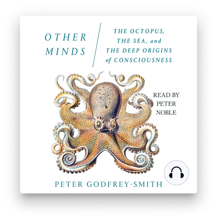 8 brilliant books about octopuses